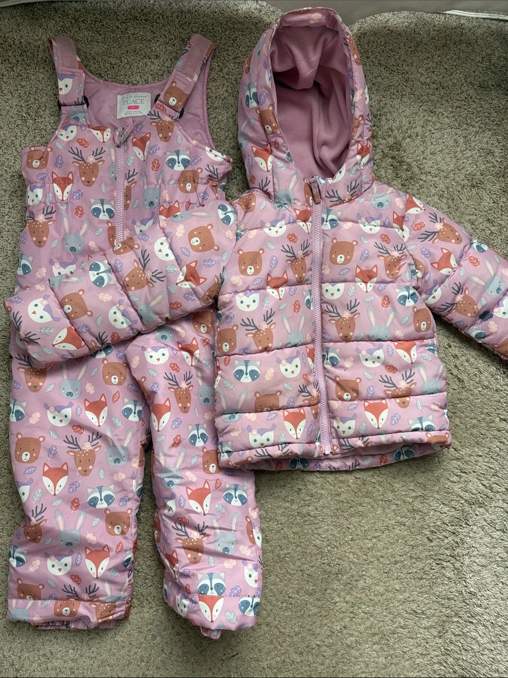 The Children's Place Pink Woodland Animal Puffer Jacket & Snow Bib Set